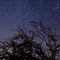 Exmoor Stars