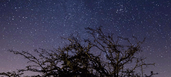 Exmoor Stars