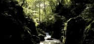 Watersmeet