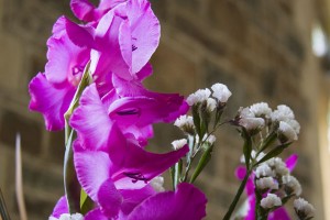 Flowers 4