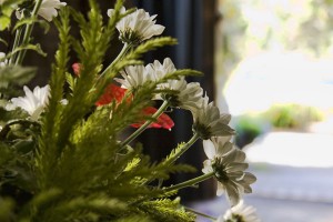 Flowers 5