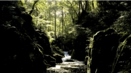 Watersmeet
