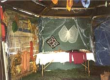 Octagon Spiders Web Display